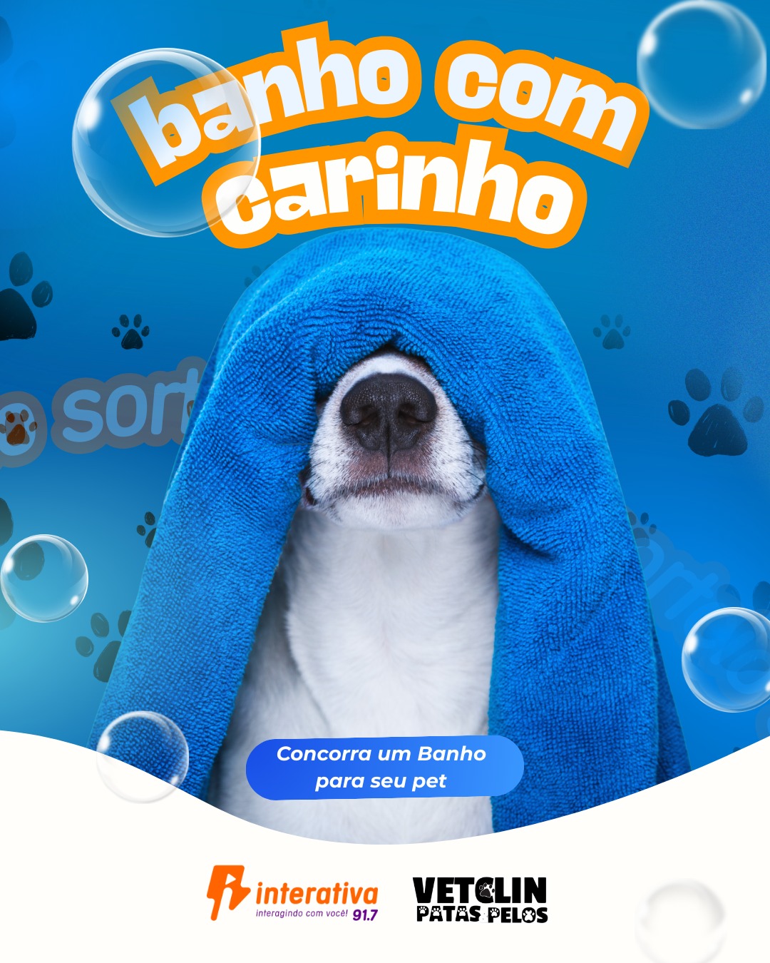 WhatsApp Image 2026-01-28 at 14.11.55 (1)